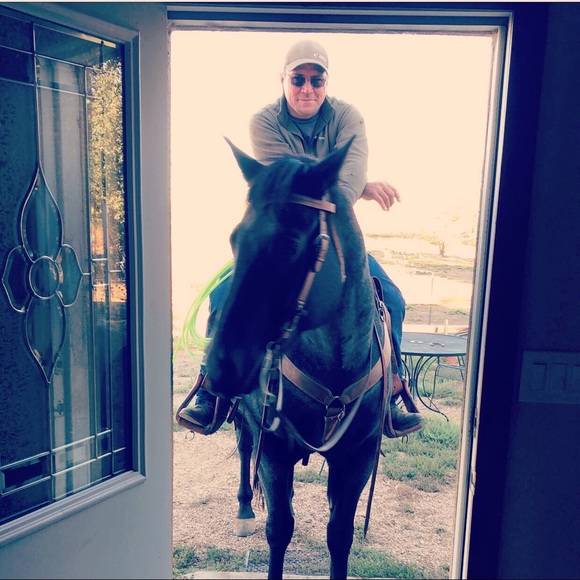 Meet your Posh Ambassador Posher, Gretta - Picture 8 of 15